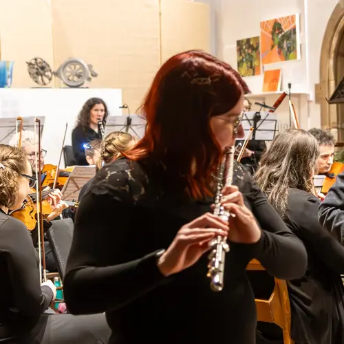 Richard F. Jackson performing with Roath Chamber Orchestra, 23rd March 2025 - Photo by Keith Bolton @old_aged_punk